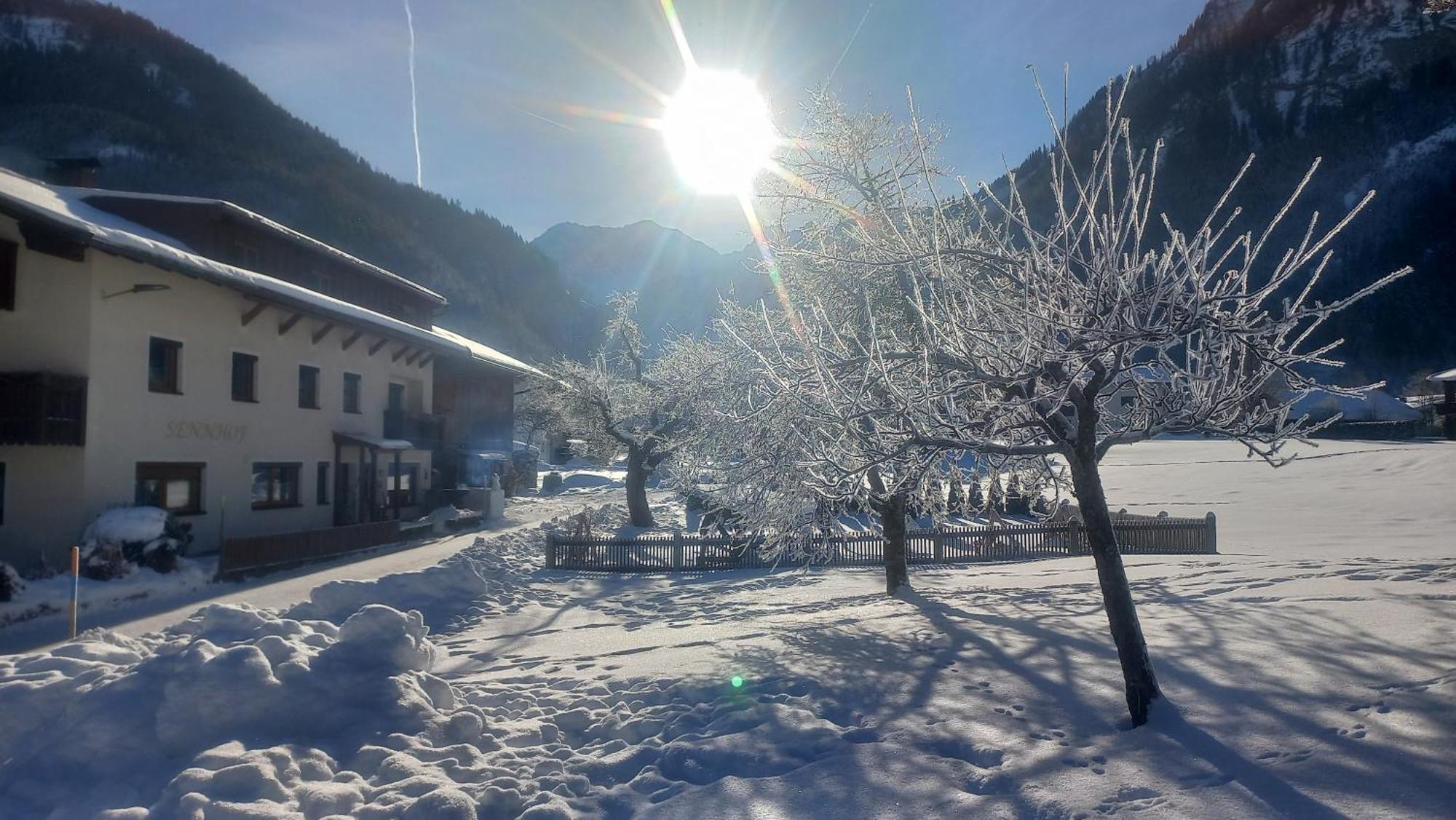 Sennhof Lechtal Διαμέρισμα Bach  Εξωτερικό φωτογραφία